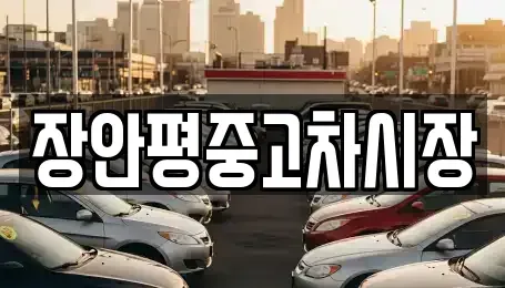 서울특별시 중구 남대문로3가 중고차매매 전문 장안평중고차시장