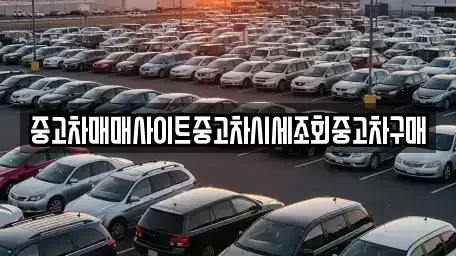 서울특별시 중구 남대문로3가 중고차매매 전문 중고차매매사이트중고차시세조회중고차구매