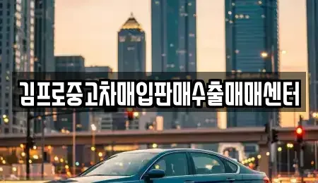 서울특별시 중구 남대문로3가 중고차매입 전문 김프로중고차매입판매수출매매센터