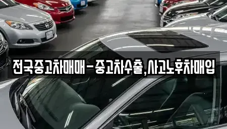 서울특별시 중구 남대문로3가 중고차매입 전문 전국중고차매매-중고차수출,사고노후차매입