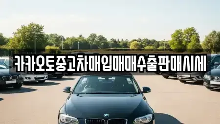 서울특별시 중구 남대문로3가 중고차매입 전문 카카오토중고차매입매매수출판매시세