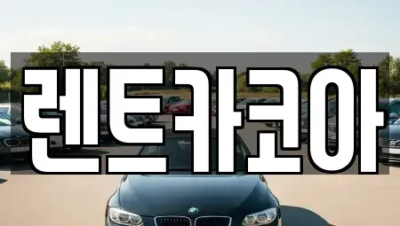 서울특별시 중구 남산동2가 렌트카 전문 렌트카코아