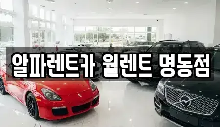 서울특별시 중구 남산동2가 렌트카 전문 알파렌트카 월렌트 명동점