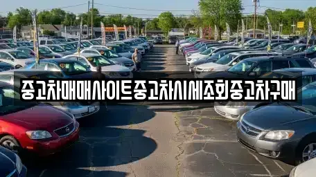 서울특별시 중구 남산동2가 중고차 전문 중고차매매사이트중고차시세조회중고차구매