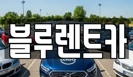 서울특별시 중구 렌트카 전문 블루렌트카