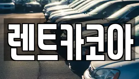 서울특별시 중구 봉래동1가 렌트카 전문 렌트카코아