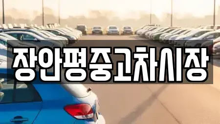 서울특별시 중구 봉래동1가 중고차 전문 장안평중고차시장
