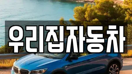 서울특별시 중구 봉래동1가 중고차매매 전문 우리집자동차