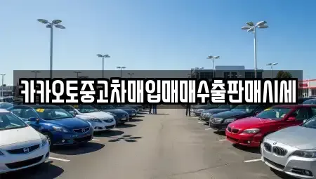 서울특별시 중구 주자동 중고차매입 전문 카카오토중고차매입매매수출판매시세