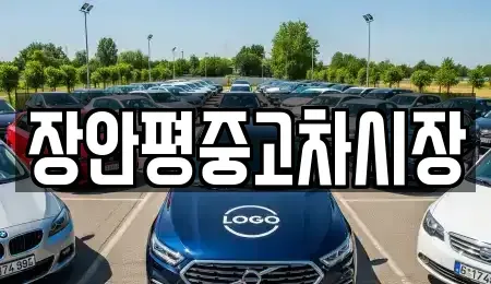 서울특별시 중구 중고차매매 전문 장안평중고차시장