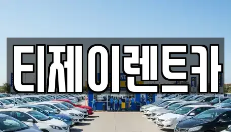 서울특별시 중구 태평로2가 렌트카 전문 티제이렌트카