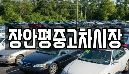 서울특별시 중구 태평로2가 중고차 전문 장안평중고차시장