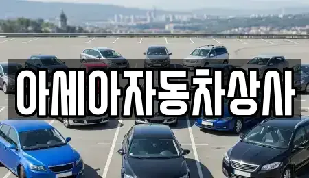 서울특별시 중구 태평로2가 중고차매매 전문 아세아자동차상사
