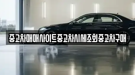 서울특별시 중구 태평로2가 중고차매매 전문 중고차매매사이트중고차시세조회중고차구매