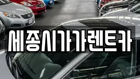 세종 종촌동 단기렌트카 전문 세종시가가렌트카