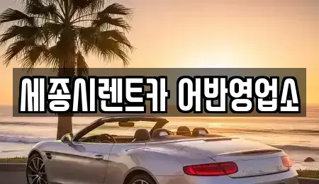 세종 종촌동 렌트카 전문 세종시렌트카 어반영업소