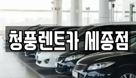 세종 종촌동 렌트카 전문 청풍렌트카 세종점