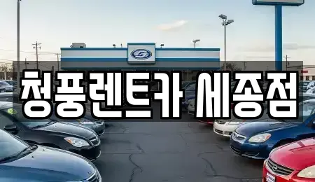 세종 종촌동 렌트카 전문 청풍렌트카 세종점