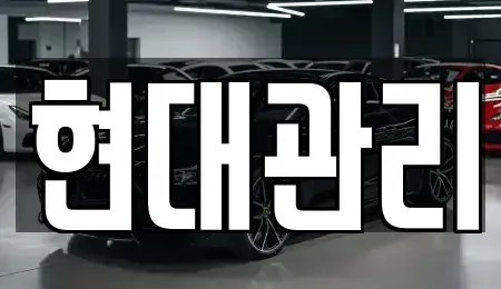 세종 종촌동 렌트카 전문 현대관리