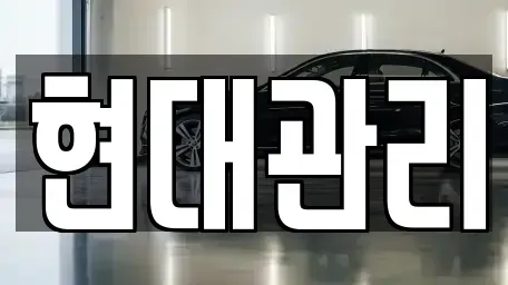 세종 종촌동 렌트카 전문 현대관리