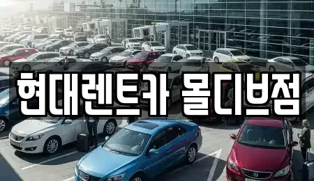 세종 종촌동 렌트카,단기렌트카,장기렌트카,중고차,중고차매매,중고차매입