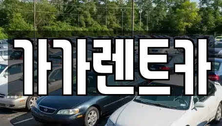 세종 종촌동 장기렌트카 전문 가가렌트카