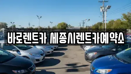 세종 종촌동 장기렌트카 전문 바로렌트카 세종시렌트카예약소