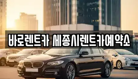 세종 종촌동 장기렌트카 전문 바로렌트카 세종시렌트카예약소