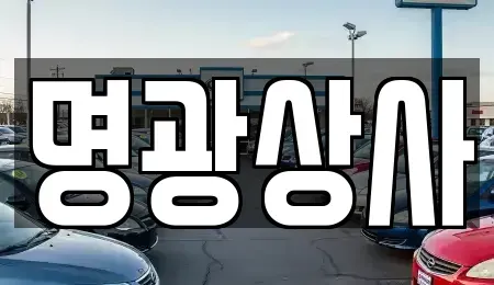 세종 종촌동 중고차 전문 명광상사