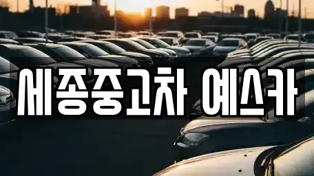 세종 종촌동 중고차 전문 세종중고차 예스카