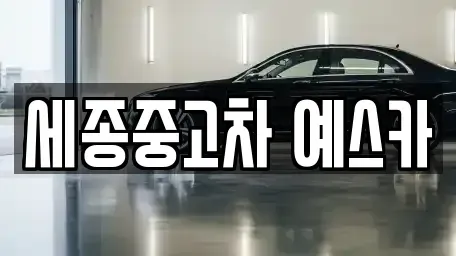 세종 종촌동 중고차 전문 세종중고차 예스카
