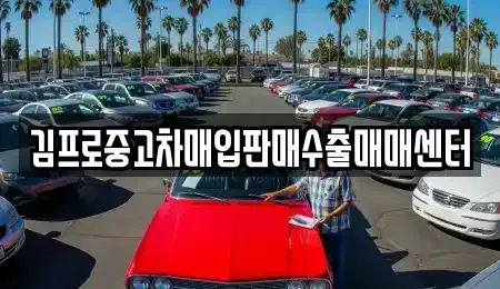 세종 종촌동 중고차매입 전문 김프로중고차매입판매수출매매센터