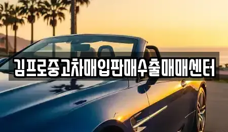 세종 종촌동 중고차매입 전문 김프로중고차매입판매수출매매센터