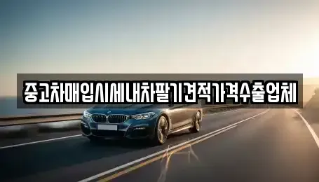 세종 종촌동 중고차매입 전문 중고차매입시세내차팔기견적가격수출업체