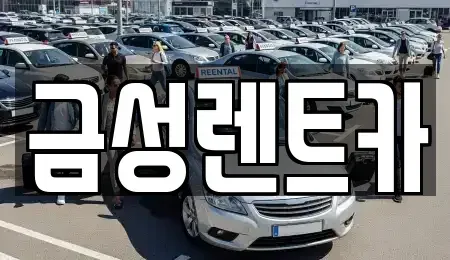 울산 남구 야음동 렌트카 전문 금성렌트카