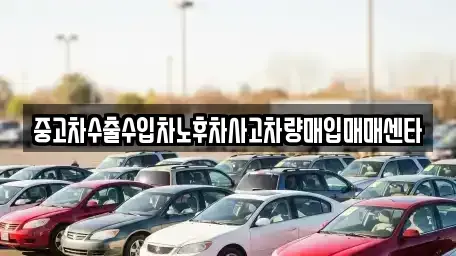 울산 남구 야음동 중고차 전문 중고차수출수입차노후차사고차량매입매매센타