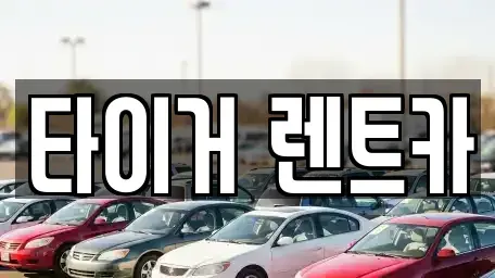 울산 남구 여천동 렌트카 전문 타이거 렌트카