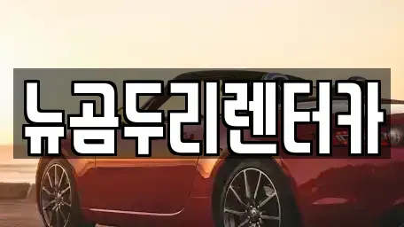 울산 남구 여천동 장기렌트카 전문 뉴곰두리렌터카