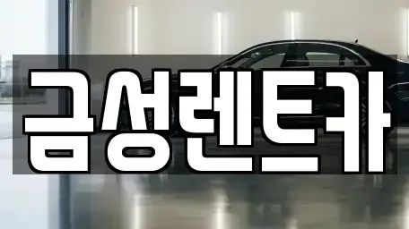 울산 남구 옥동 렌트카 전문 금성렌트카