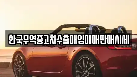 울산 동구 서부동 중고차 전문 한국무역중고차수출매입매매판매시세