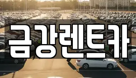 울산 북구 진장동 렌트카 전문 금강렌트카