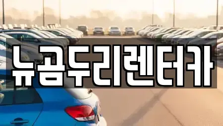 울산 울주군 삼남읍 렌트카 전문 뉴곰두리렌터카