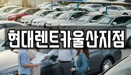 울산 중구 서동 렌트카 전문 현대렌트카울산지점