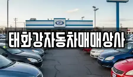 울산 중구 서동 중고차 전문 태화강자동차매매상사