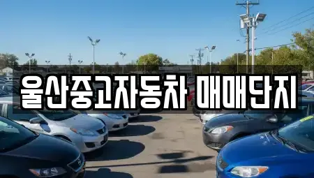 울산 중구 서동 중고차매매,단기렌트카,중고차매입,장기렌트카,중고차,렌트카