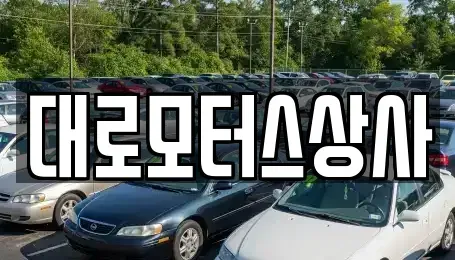 인천 강화군 중고차매매 전문 대로모터스상사