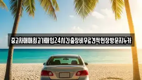 인천 강화군 중고차매입 전문 중고차매매최고가매입24시간출장비무료견적현장방문지누카
