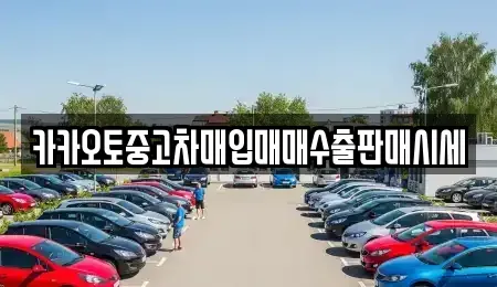 인천 강화군 중고차매입 전문 카카오토중고차매입매매수출판매시세