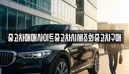 인천 계양구 용종동 중고차매매 전문 중고차매매사이트중고차시세조회중고차구매