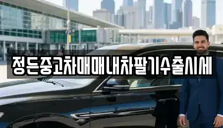 인천 서구 검암동 중고차 전문 정든중고차매매내차팔기수출시세